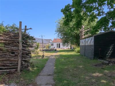 Picture 30